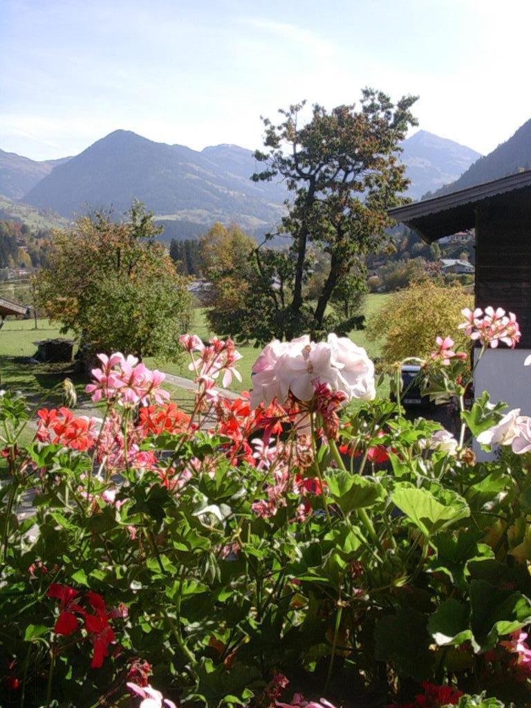 Bed and Breakfast Malernhof Kitzbühel Esterno foto