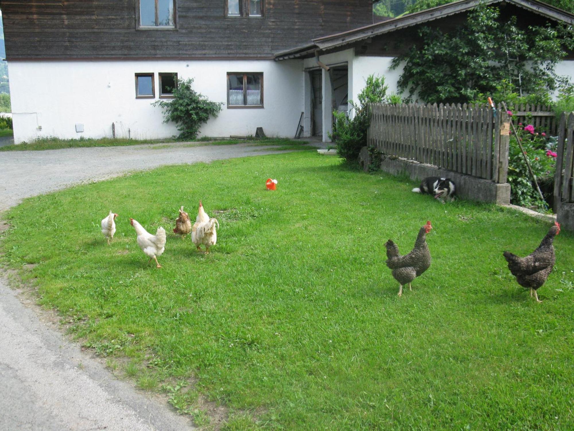 Bed and Breakfast Malernhof Kitzbühel Esterno foto